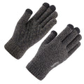 iWarm - Touchscreen Gloves (ST0005) - Double Layer and Velvet/Acrylic, Size 21cm - Gray