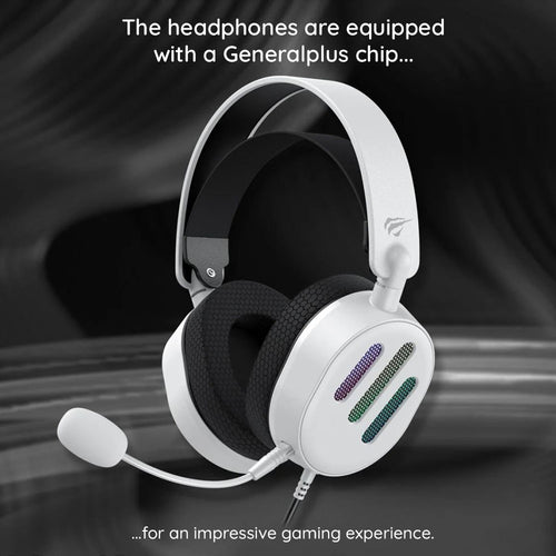 Havit - Gaming Headphones (H2038U) - with Microphone, 50mm Speaker, USB, 2m - Black