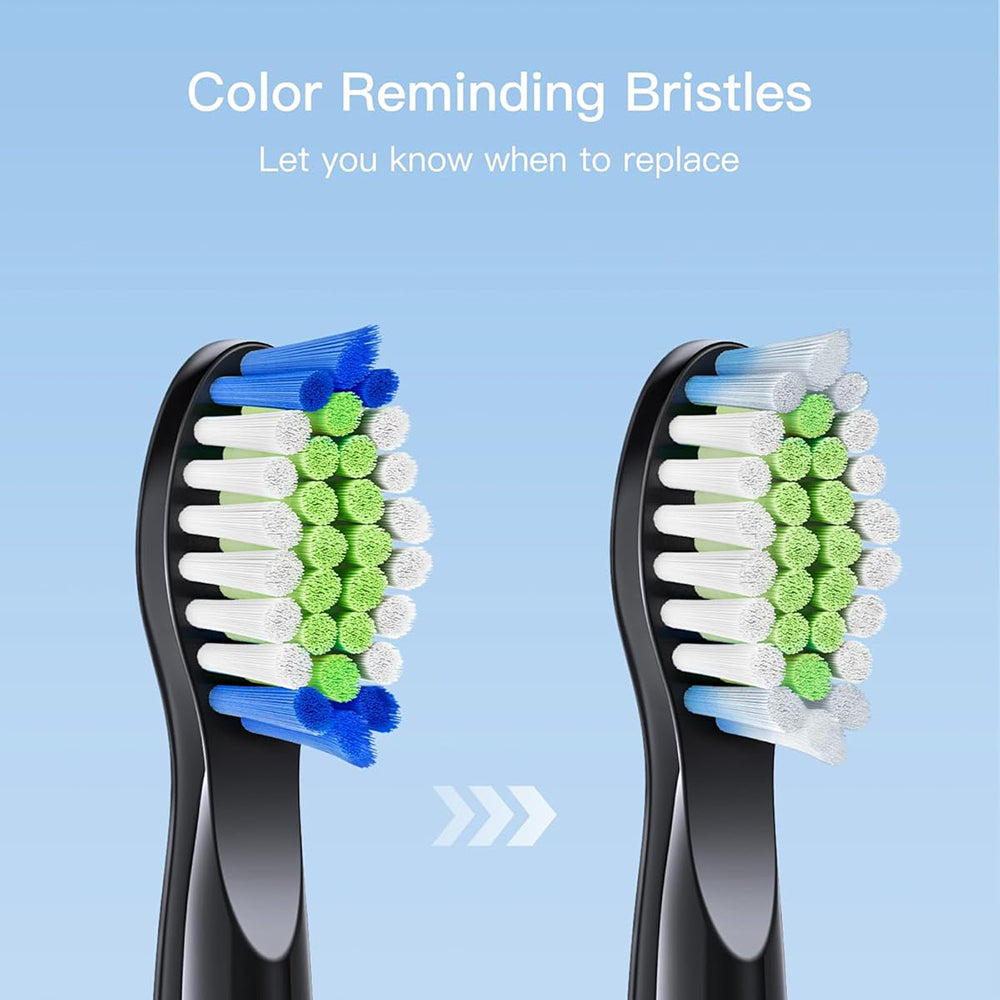 Bitvae - Toothbrush Heads (SDD2) - For Bitvae D2, x4 - Black