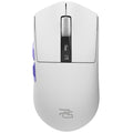 Proove - Wireless Mouse Jester 8K (WMJS00022002) - for Gaming, OLED Display, 7 Buttons, 800-26000DPI, 500mAh, 1.5m - Whi