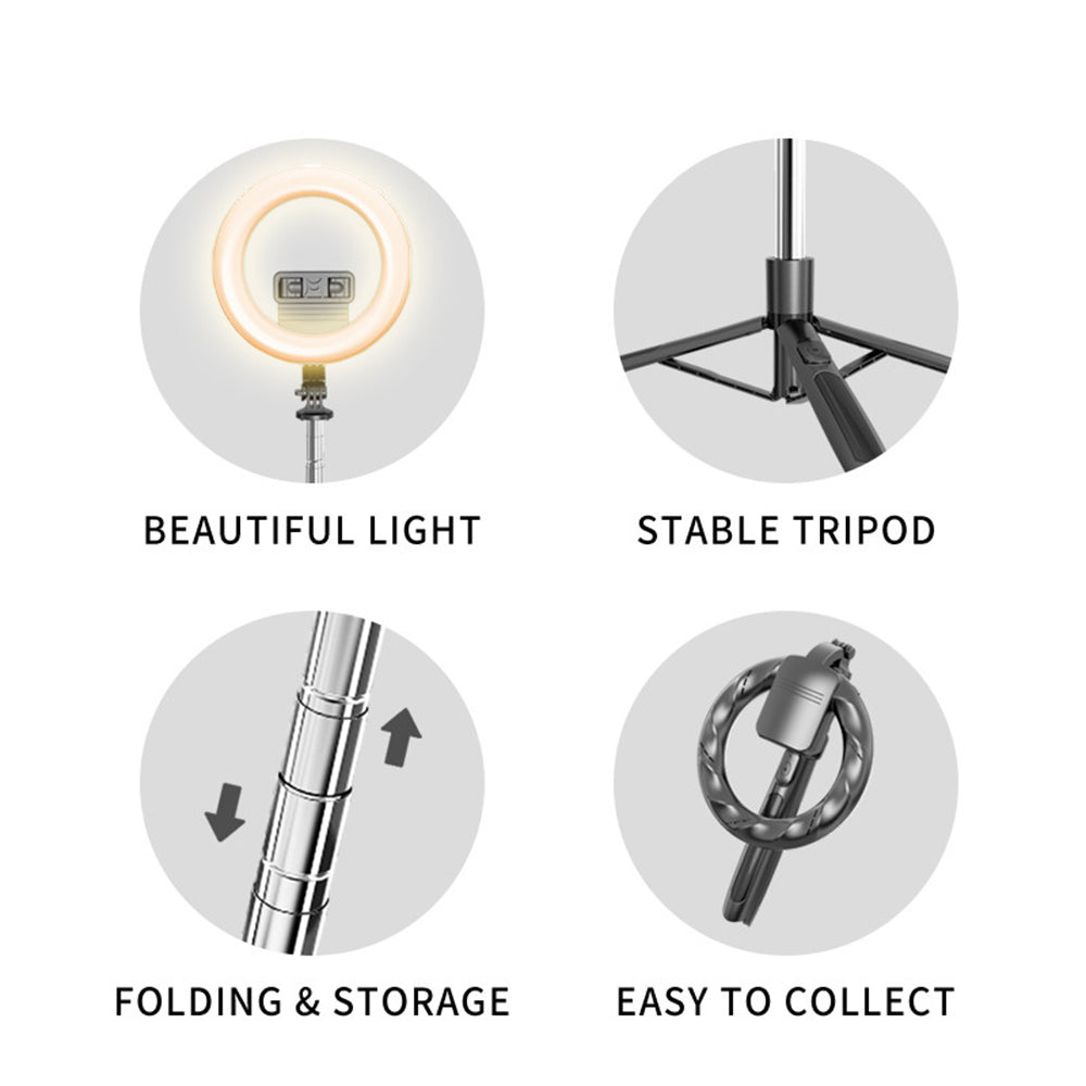 Techsuit - Selfie Stick (Q05s) - Stable Tripod with Bluetooth Remote Control and Ring Light, Stainless Steel, 170cm - Bl